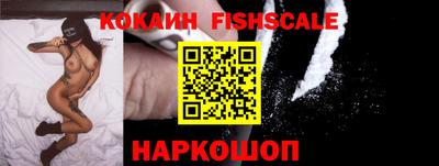 дживик Камышлов