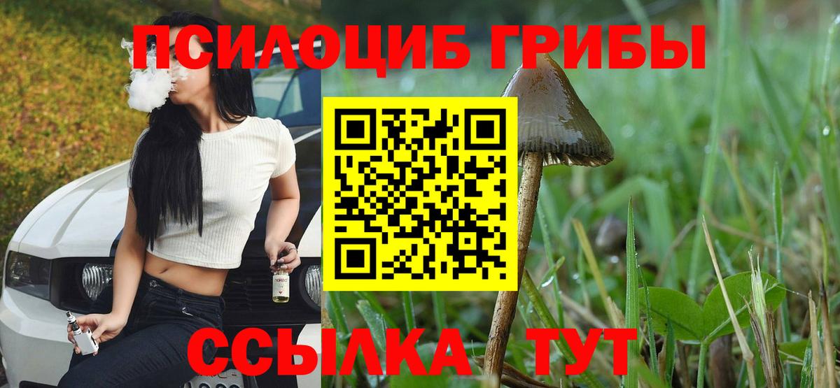 Псилоцибиновые грибы ЛСД  Вход с VPN  Комсомольск-на-Амуре  Галлюциногенные грибы прущие грибы 